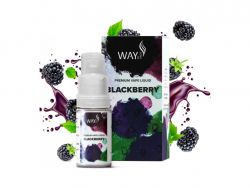 BLACKBERRY - e-liquid WAY TO VAPE (CZ)  10 ml